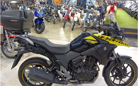 SUZUKI STROM 250 DS11A