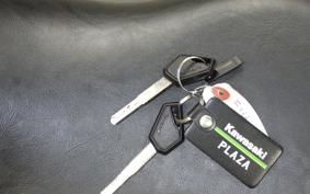 KAWASAKI ELIMINATOR400-3 2024 EL400A