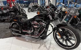 HARLEY  HARLEY FXBRS 2020 YHK