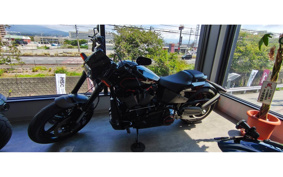 HARLEY FXDR114 2019 YVK