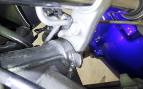 HONDA HORNET 250 MC31