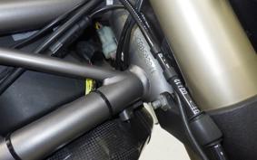 DUCATI MONSTER 1100 EVO 2013