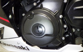 KAWASAKI NINJA 400 2022 EX400G