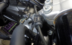 HONDA MONKEY 125 2006 JB03