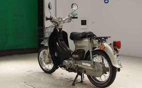HONDA LITTLE CUB C50