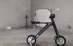 OTHER  BLAZE  SMART EV ..