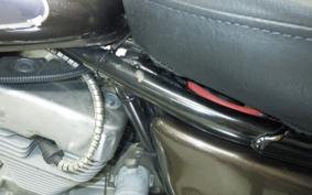 YAMAHA VIRAGO 250 3DM