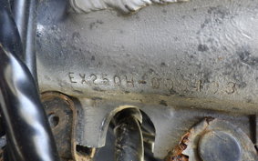 KAWASAKI ZZ-R250 EX250H
