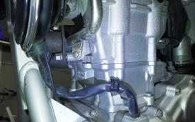 YAMAHA WR250R 2021 DG15J