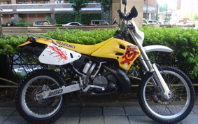 SUZUKI RMX250 S SJ13A