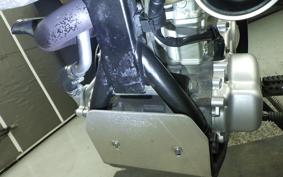 YAMAHA WR250X DG15J