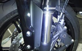 TRIUMPH SPEED TWIN 2026