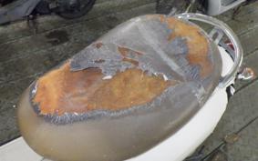 HONDA CREA SCOOPY 1986 AF55