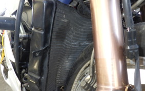 TRIUMPH DAYTONA 675 2009