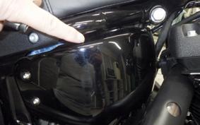 HARLEY FXLRST1920 2024