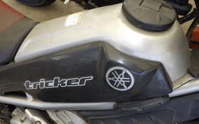 YAMAHA TRICKER DG10J