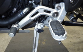 TRIUMPH TIGER 900 RALLY PRO 2024