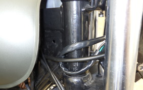 OTHER MUTT250