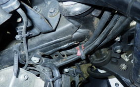 SUZUKI Vｽﾄﾛｰﾑ250 2020