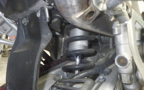 YAMAHA WR250R 2015 DG15J