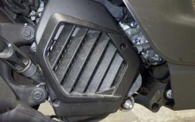 HONDA TACT Basket 2024 AF79