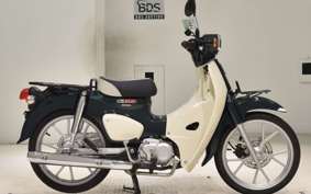 HONDA C110 SUPER CUB