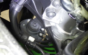 KAWASAKI ZX-4RR 2024 ZX400P