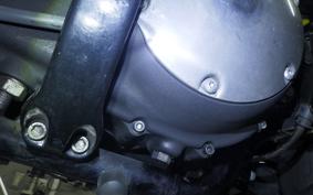 HARLEY XL883N