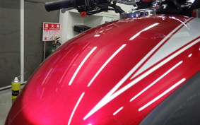 KAWASAKI W800 2022 EJ800E