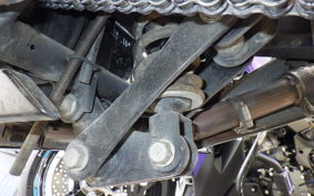 KAWASAKI NINJA 250R