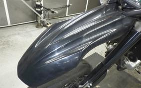 YAMAHA WR250X 2021 DG15J
