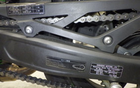 KAWASAKI ZX-4RR 2023 ZX400P
