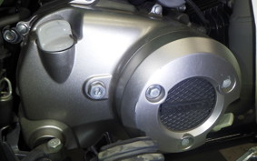 HONDA CT125 HUNTER CUB 2024 JA55