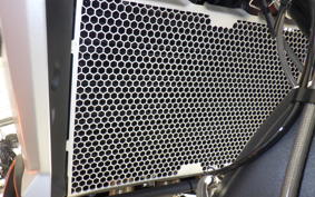 TRIUMPH TIGER800XCA(ショ