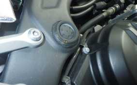 YAMAHA MT-25 A 1995 RG43J