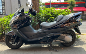 SUZUKI SKY WAVE 250 TYPES