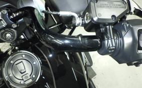 HARLEY FLTRX1920 2025