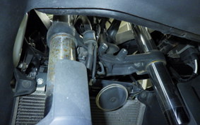 KAWASAKI NINJA 250 ABS EX250L