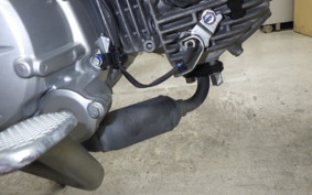 HONDA ｸﾛｽｶﾌﾞ50 AA06