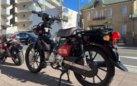 HONDA CROSS CUB JA60
