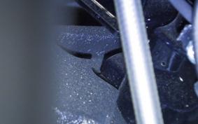 HARLEY FXLRST1920 2024