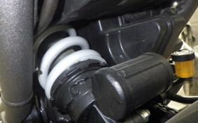 TRIUMPH SPEED400 2024