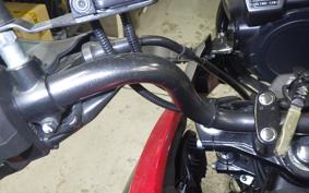 SUZUKI Vｽﾄﾛｰﾑ250A 2012