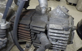 HONDA GORILLA 2025 Z50J