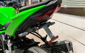 KAWASAKI NINJA ZX-6R 2022 ZX636G
