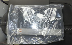 HARLEY FLHX1920 2026