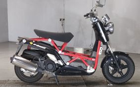 OTHER DEIRINB-BONE ..