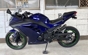 KAWASAKI NINJA 250 EX250L