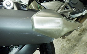 KAWASAKI Z250 SL 2021 BR250E