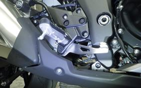 KAWASAKI NINJA 1000 A 2019 ZXT00W